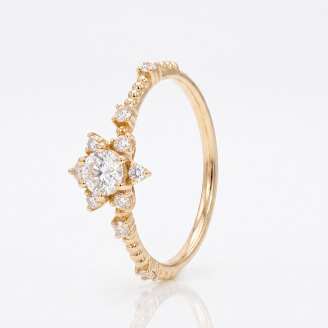 14 Karaat Gouden Diamanten Bloemring