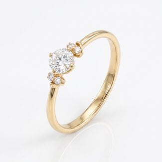 Solitaire Diamanten Ring met Zijdiamanten