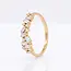 14 Karaat Geelgouden Ring met 1.01 Ct en 0.10 Ct
