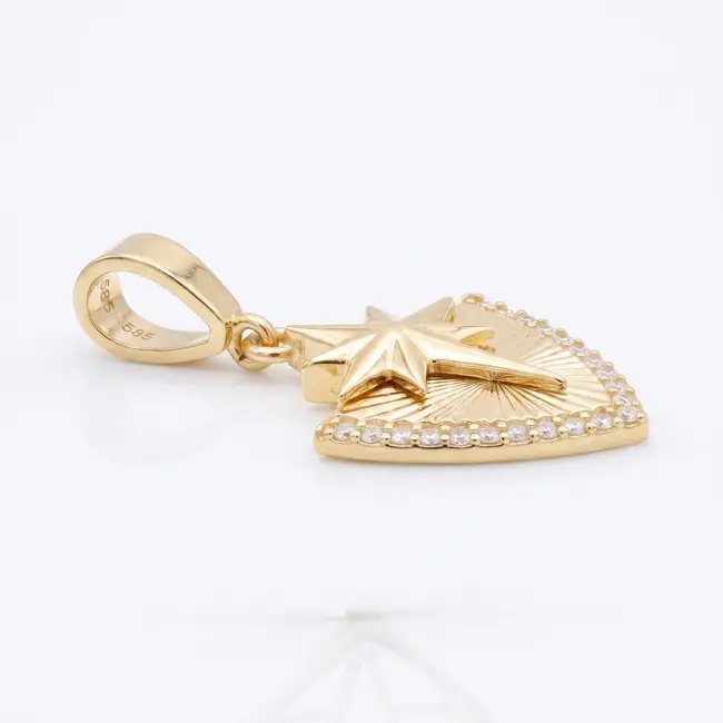 14 karaat geelgouden ster hanger met zirkonia