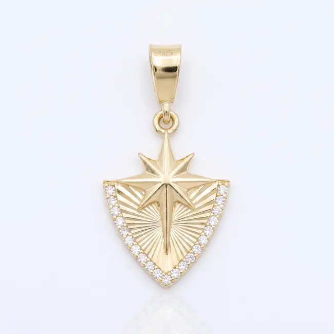 14 karaat geelgouden ster hanger met zirkonia