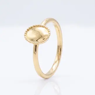 Gouden zegelring met ovale plaat