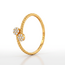 Elegante Dubbele Bloemring in Roodgoud