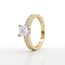 Gouden Dubbele Pavé Ring