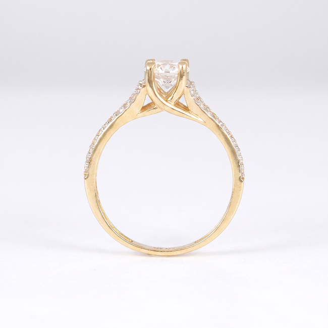 Gouden dubbele pavé ring met middensteen