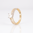 Gouden ring met dubbele pavé band