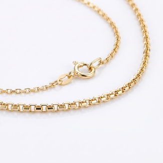 Fijne Gouden Schakelketting