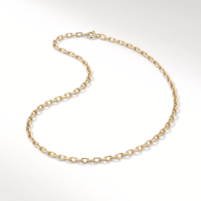 14 Karaat Geelgouden Anker Ketting