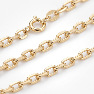 Geelgouden Anker Ketting