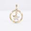 Ronde gouden hanger met ster