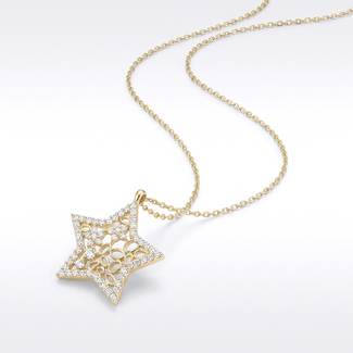 Ster Hanger met Zirkonia Collier