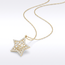 Gouden collier met open ster hanger en zirkonia