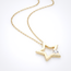 Gouden collier met open sterhanger