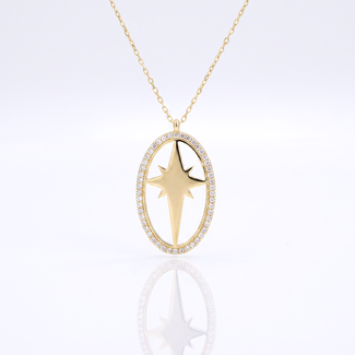 Ster Collier Met Zirkonia