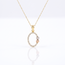 Gouden collier met cirkelhanger en zirkonia