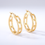 Dubbele creool oorbellen met gouden details