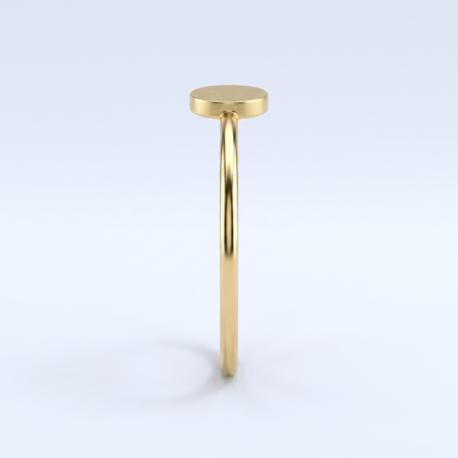 Dunne gouden ring 14 karaat met rond geborsteld plaatje