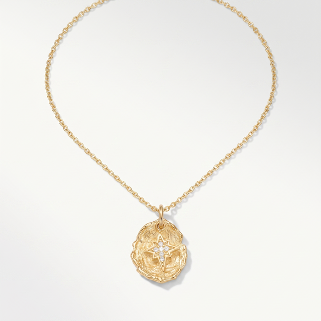 Gouden collier 14 karaat, poolster in ovaal medaillon, zirkonia