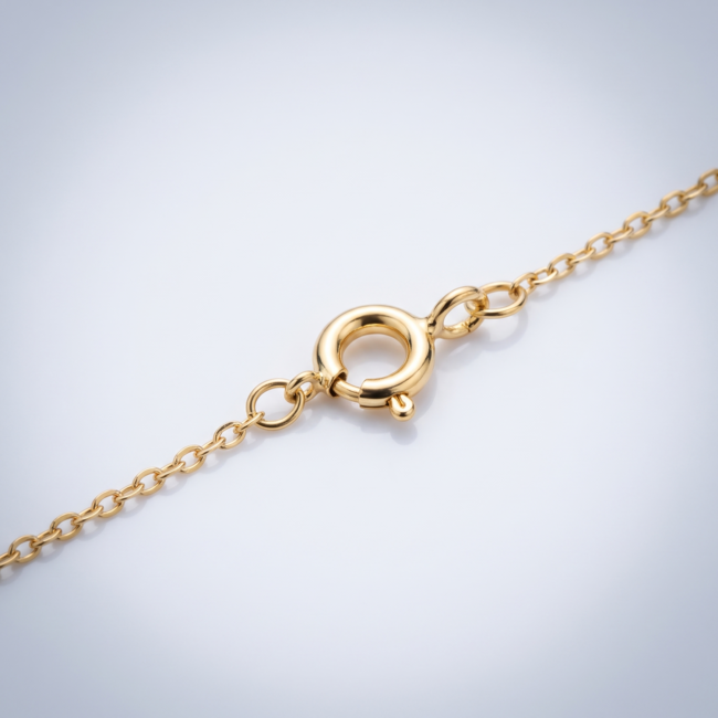 Gouden collier dubbele cirkel zirkonia 45,5 cm