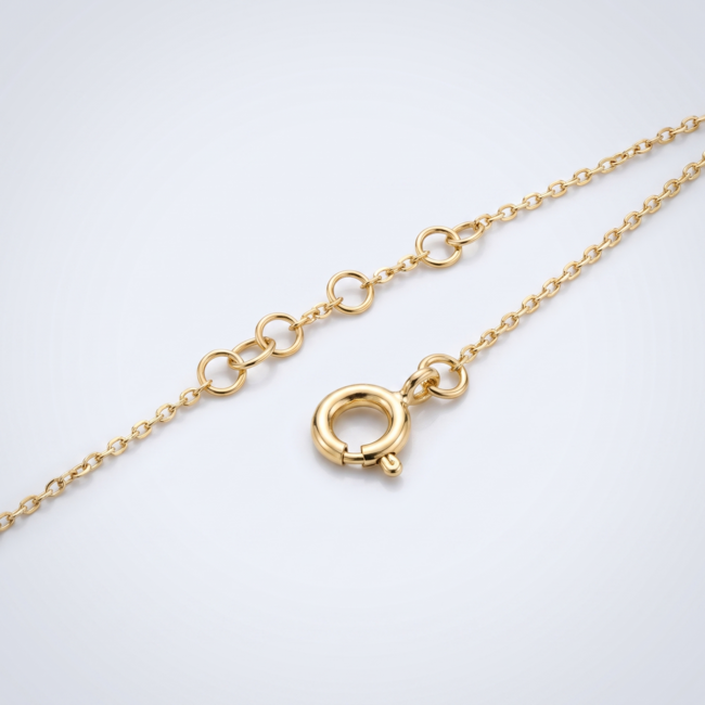 Bicolor Collier Dubbele Pijl Zirkonia 42-44,5cm