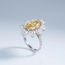 Witgouden Ring maat 17 met Gele Diamant 4,56 ct en Diamanten Halo 3,47 ct
