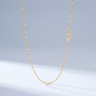 Gouden Ankerketting
