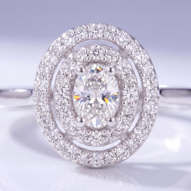 14 Karaat Witgouden Ovale Ring met Dubbele Halo
