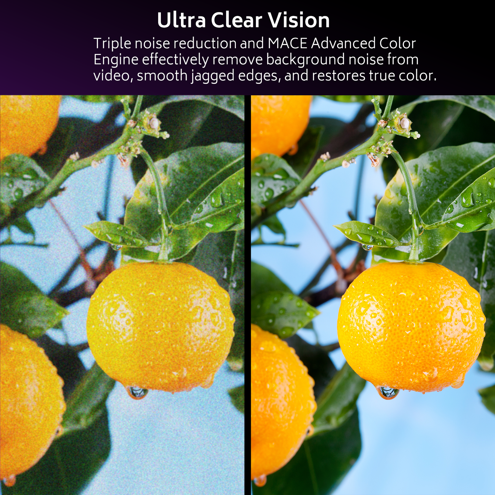 HKC HKC 24F1D-DVD LED HD TV 24 inch (Triple Tuner, CI+, HDMI, USB)