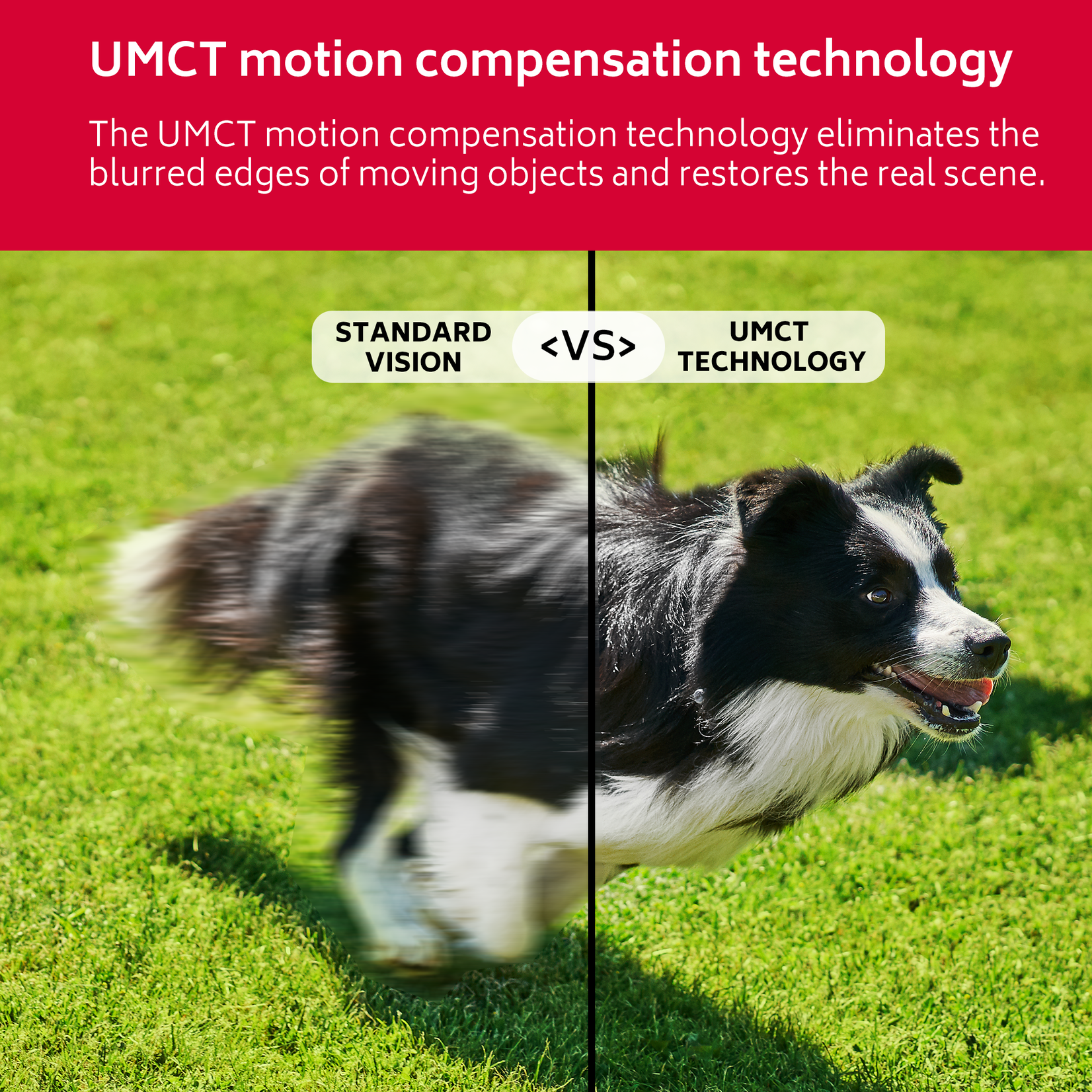 RCA RD24H1 Téléviseur LED HD 24 pouces avec lecteur de DVD, triple tuner, connexion HDMI et USB