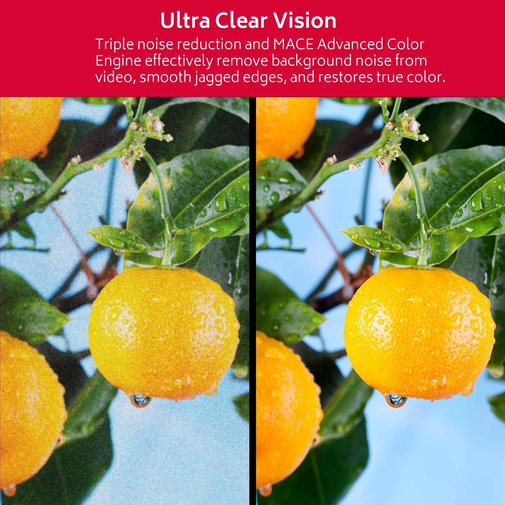 RCA RD24H1 Téléviseur LED HD 24 pouces avec lecteur de DVD, triple tuner, connexion HDMI et USB