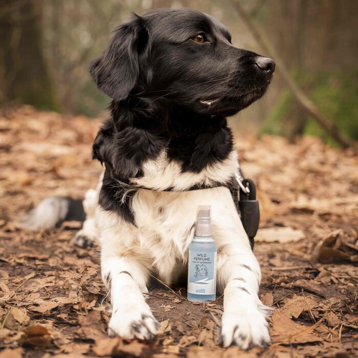 Greenfields Dog Perfume Wild - 100 ml