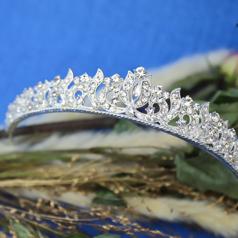 Silver Crown Moon