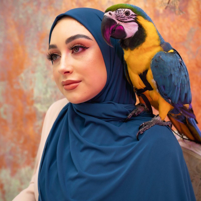 PREMIUM JERSEY HIJAB MIN - MEDIUM PERSIAN BLUE