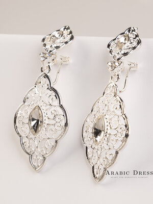 Earrings Sg Silver