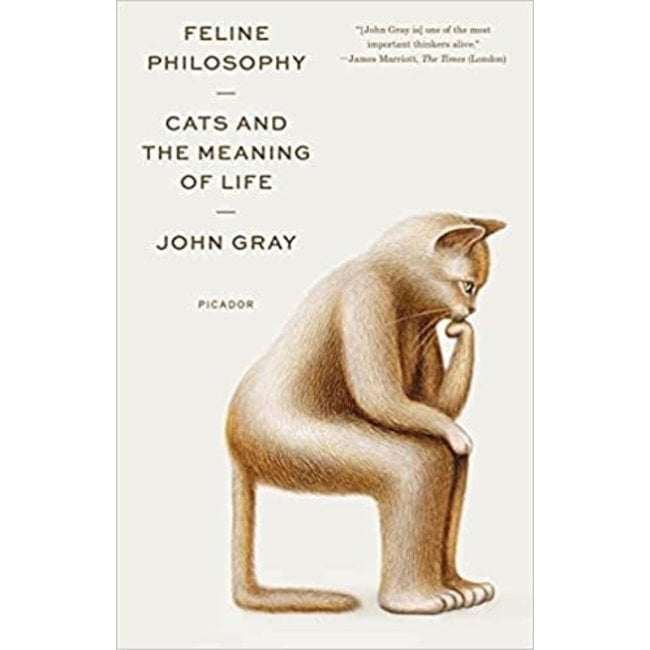 Feline Philosophy - Cats And The Meaning of Life