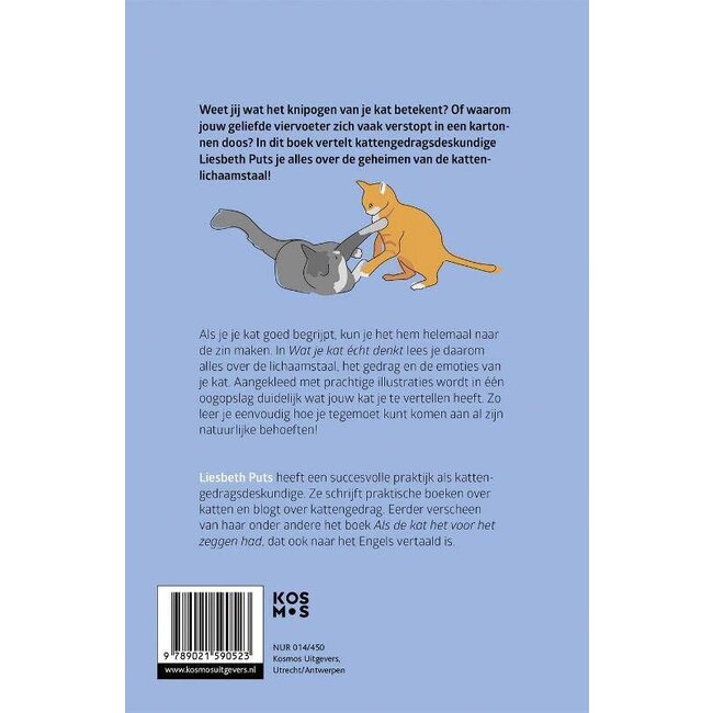 Wat Je Kat Écht Denkt