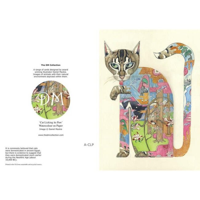 Daniel Mackie - Cat Licking it's Paw, Dubbele Kaart met Enveloppe