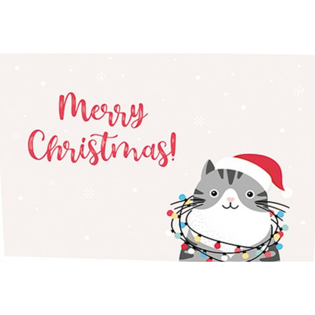 Merry Christmas Kat! - Dubbele Kaart met Enveloppe