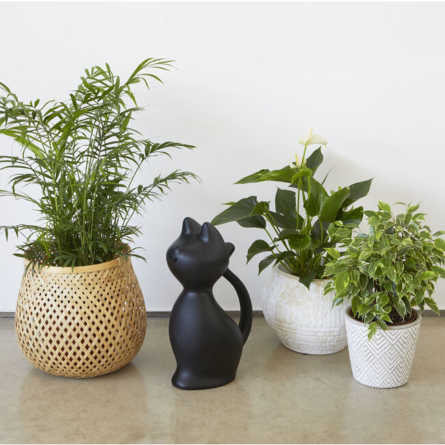 Planten Gieter Miauw