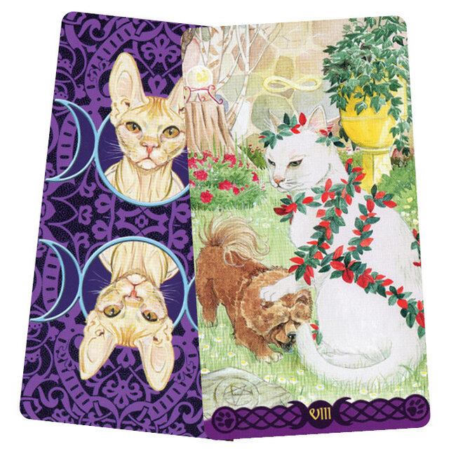 Tarot of Pagan Cats