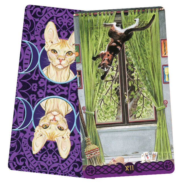 Tarot of Pagan Cats