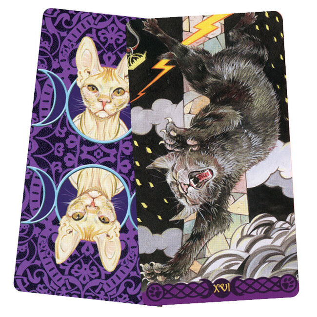 Tarot of Pagan Cats