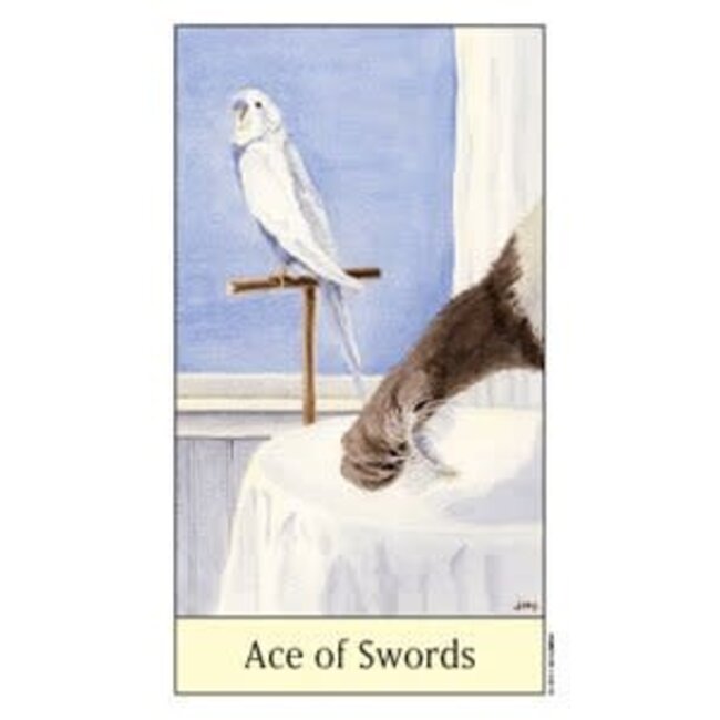 Cat's Eye Tarot - Debra M. Givin