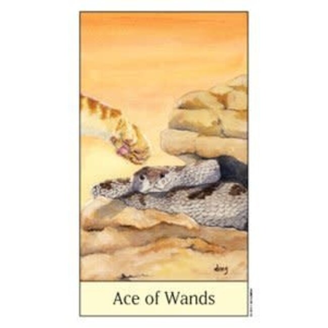 Cat's Eye Tarot - Debra M. Givin