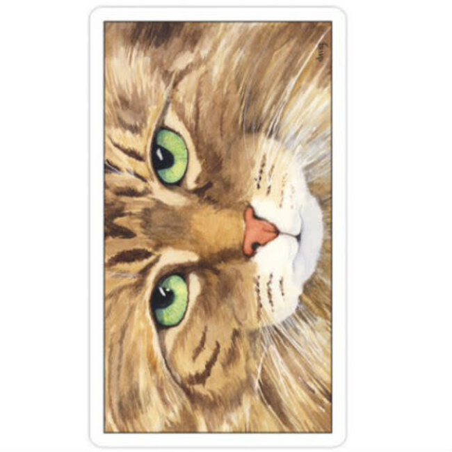 Cat's Eye Tarot - Debra M. Givin