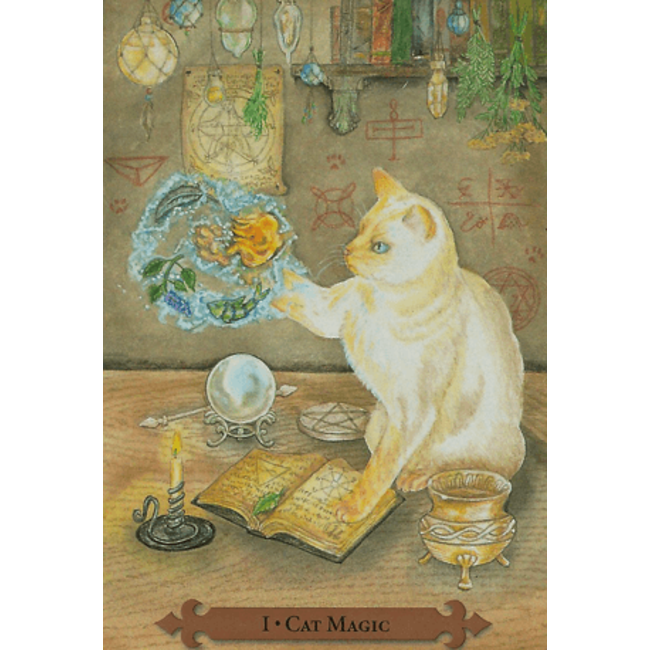 Mystical Cats Tarot