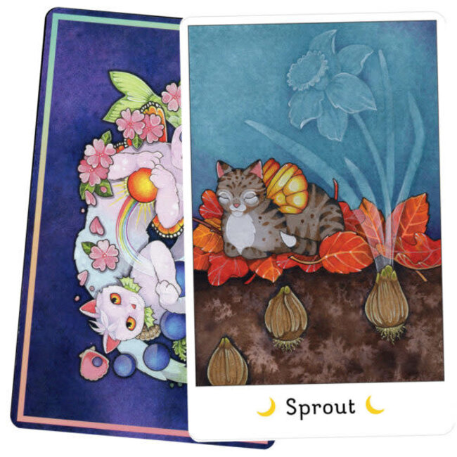 Affirmations of the Fairy Cats, Deck & Book Set