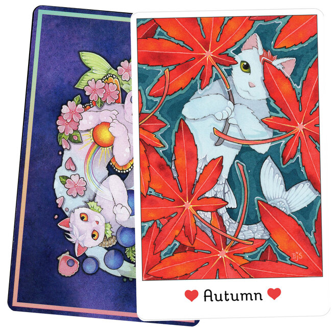 Affirmations of the Fairy Cats, Deck & Book Set