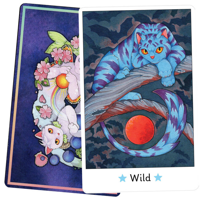 Affirmations of the Fairy Cats - Deck & Boek Set