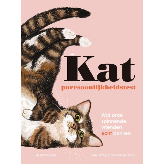 Kat Purrsoonlijkheidstest - What our purring friends really think